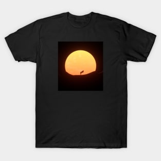 The night has come T-Shirt